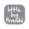 Little Big Friends